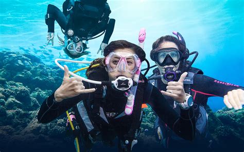 Padi diving - PADI courses offer a range of diving certifications for different levels and interests. Whether you want to start with Open Water Diver, try specialty courses, or become a diver …